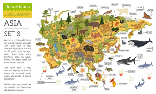 Piatto asiatico flora e fauna mappa elementi costruttivi. Animali, bi — Vettoriale Stock