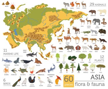 Düz Asya flora ve fauna Oluşturucu öğeleri eşleyin. Hayvanlar, bi