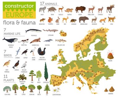Düz Avrupa flora ve fauna Oluşturucu öğeleri eşleyin. Hayvanlar,