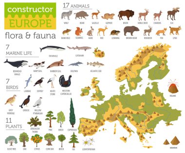 Flat European flora and fauna map constructor elements. Animals,
