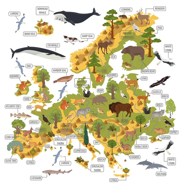 Plana flora y fauna europea mapa elementos constructores. Animales. , — Vector de stock