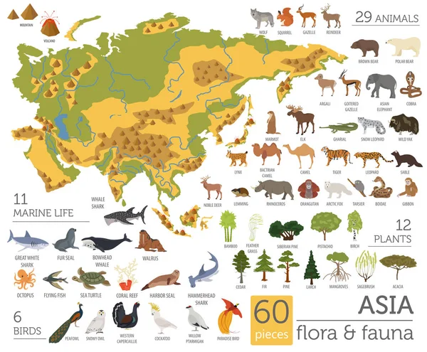Düz Asya flora ve fauna Oluşturucu öğeleri eşleyin. Hayvanlar, bi