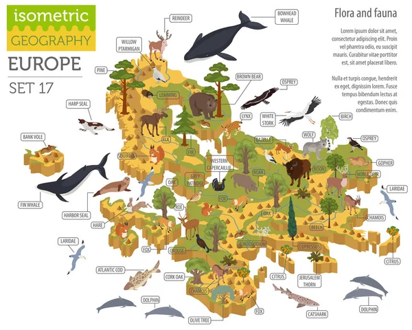 Isometrische 3D Europäische Flora und Fauna Kartenkonstrukteurselemente. — Stockvektor