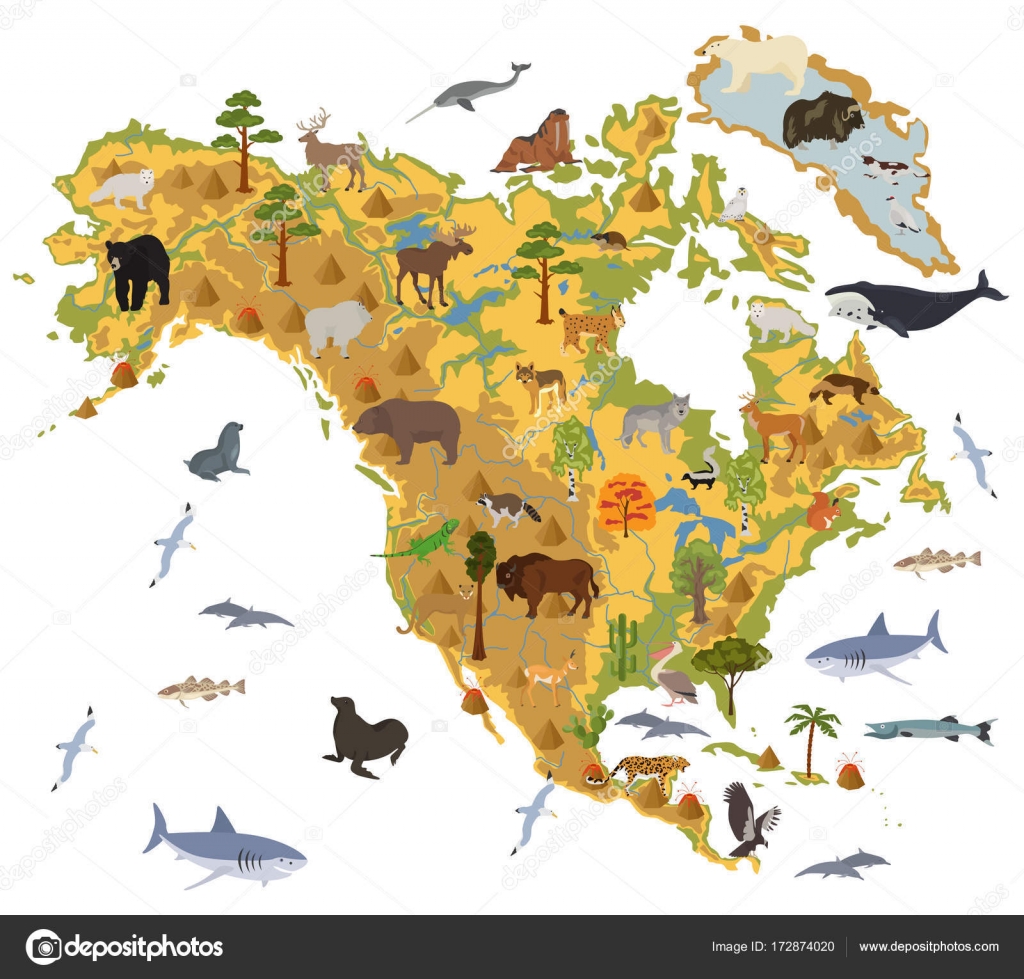 North America flora and fauna map, flat elements. Animals, birds Stock  Vector Image by ©A7880S #172874020