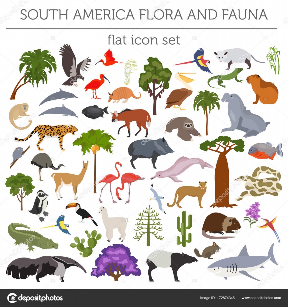South America flora and fauna flat elements. Animals, birds and Stock  Vector Image by ©A7880S #172874346