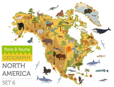 Kuzey Amerika flora ve fauna harita, öğeleri düz. Hayvanlar, kuşlar