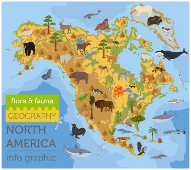 Kuzey Amerika flora ve fauna harita, öğeleri düz. Hayvanlar, kuşlar