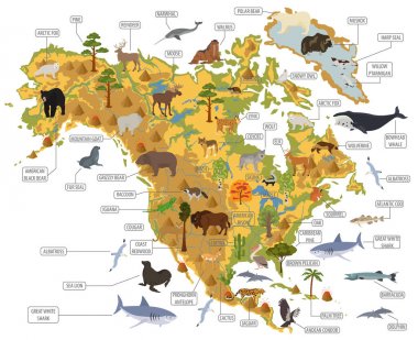 Kuzey Amerika flora ve fauna harita, öğeleri düz. Hayvanlar, kuşlar