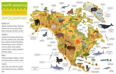 Kuzey Amerika flora ve fauna harita, öğeleri düz. Hayvanlar, kuşlar