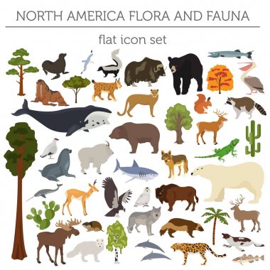 Kuzey Amerika flora ve fauna düz öğeleri. Hayvanlar, kuşlar ve 