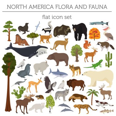 North America flora and fauna flat elements. Animals, birds and 