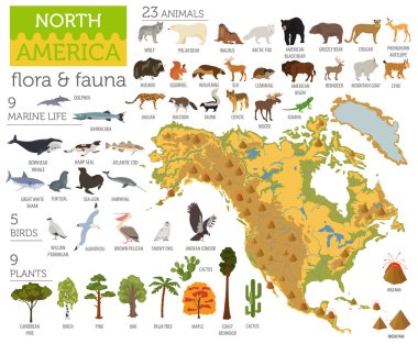Kuzey Amerika flora ve fauna harita, öğeleri düz. Hayvanlar, kuşlar
