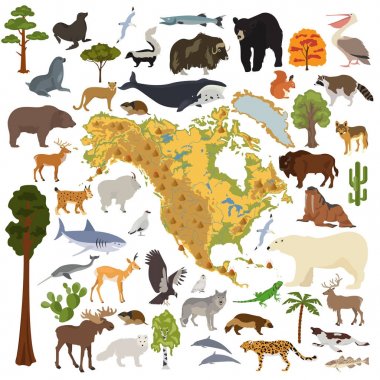 Kuzey Amerika flora ve fauna harita, öğeleri düz. Hayvanlar, kuşlar