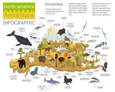 Isometric 3d North America flora and fauna map elements. Animals clipart