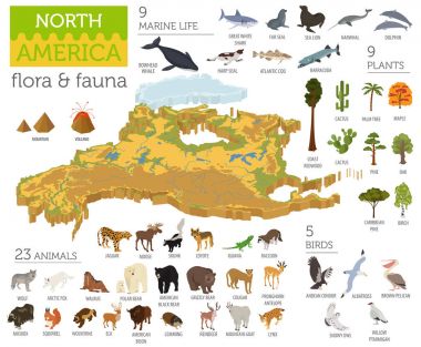 İzometrik 3d Kuzey Amerika flora ve fauna öğeleri eşleyin. Hayvanlar