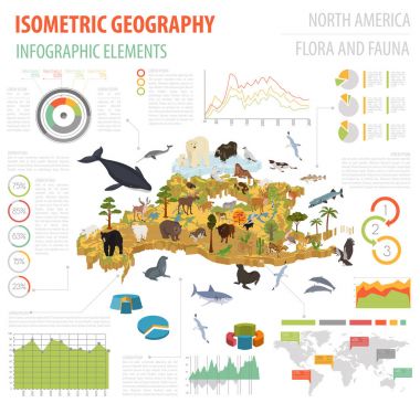 Isometric 3d North America flora and fauna map elements. Animals