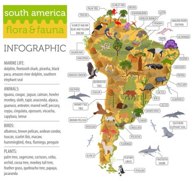 South America flora and fauna map, flat elements. Animals, birds