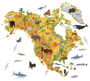 Kuzey Amerika flora ve fauna harita, öğeleri düz. Hayvanlar, kuşlar