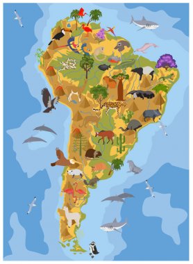 South America flora and fauna map, flat elements. Animals, birds clipart