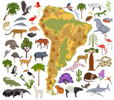 Güney Amerika flora ve fauna harita, öğeleri düz. Hayvanlar, kuşlar