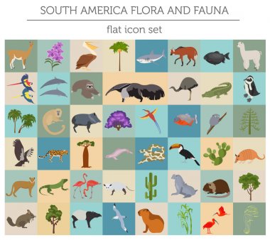 Güney Amerika flora ve fauna düz öğeleri. Hayvanlar, kuşlar ve 