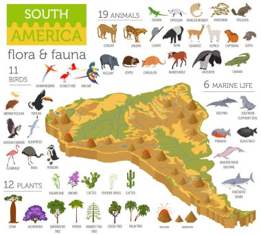 İzometrik 3d Güney Amerika flora ve fauna öğeleri eşleyin. Hayvanlar