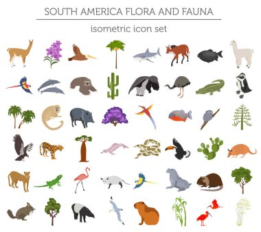 İzometrik 3d Güney Amerika flora ve fauna elemanları. Hayvanlar, bi