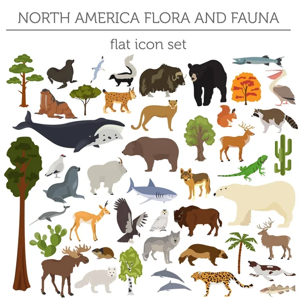 America del Nord flora e fauna elementi piatti. Animali, uccelli e — Vettoriale Stock