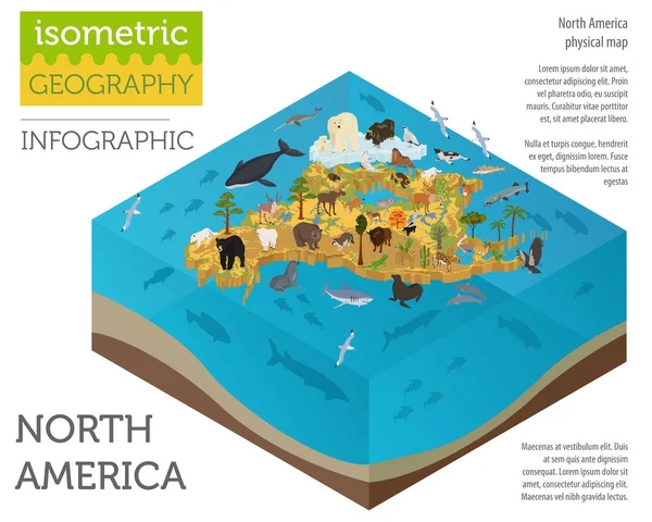 Isométrico 3d América del Norte flora y fauna mapa de elementos. Animales. — Archivo Imágenes Vectoriales