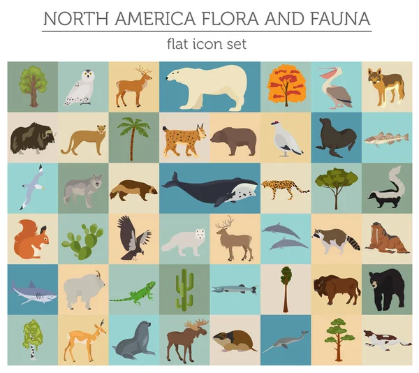 América do Norte flora e fauna elementos planos. Animais, aves e —  Vetores de Stock