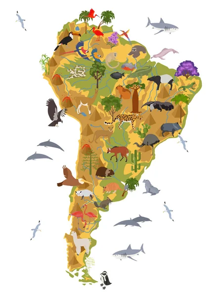 América del Sur flora y fauna mapa, elementos planos. Animales, aves — Vector de stock