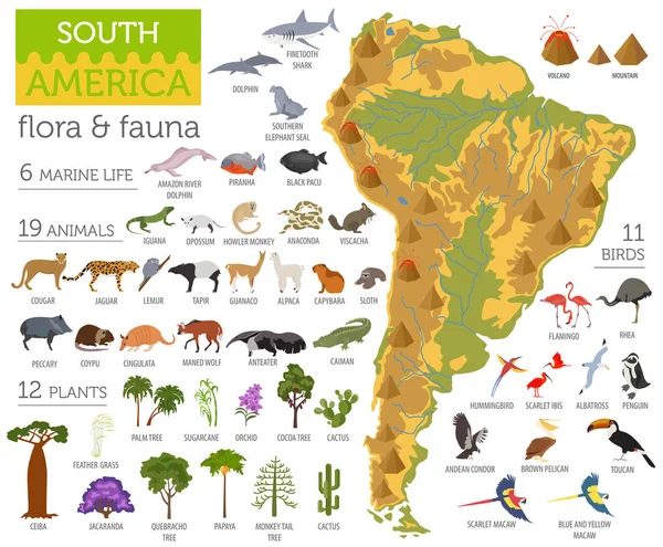 Mappa della flora e della fauna del Sud America, elementi piatti. Animali, uccelli — Vettoriale Stock