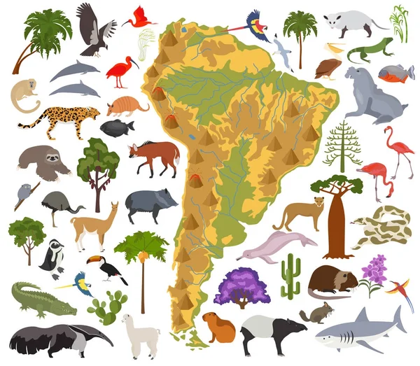 América del Sur flora y fauna mapa, elementos planos. Animales, aves — Vector de stock