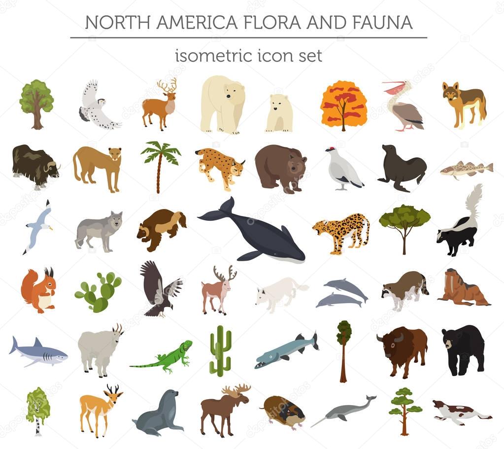 Isometric 3d North America flora and fauna elements. Animals, bi