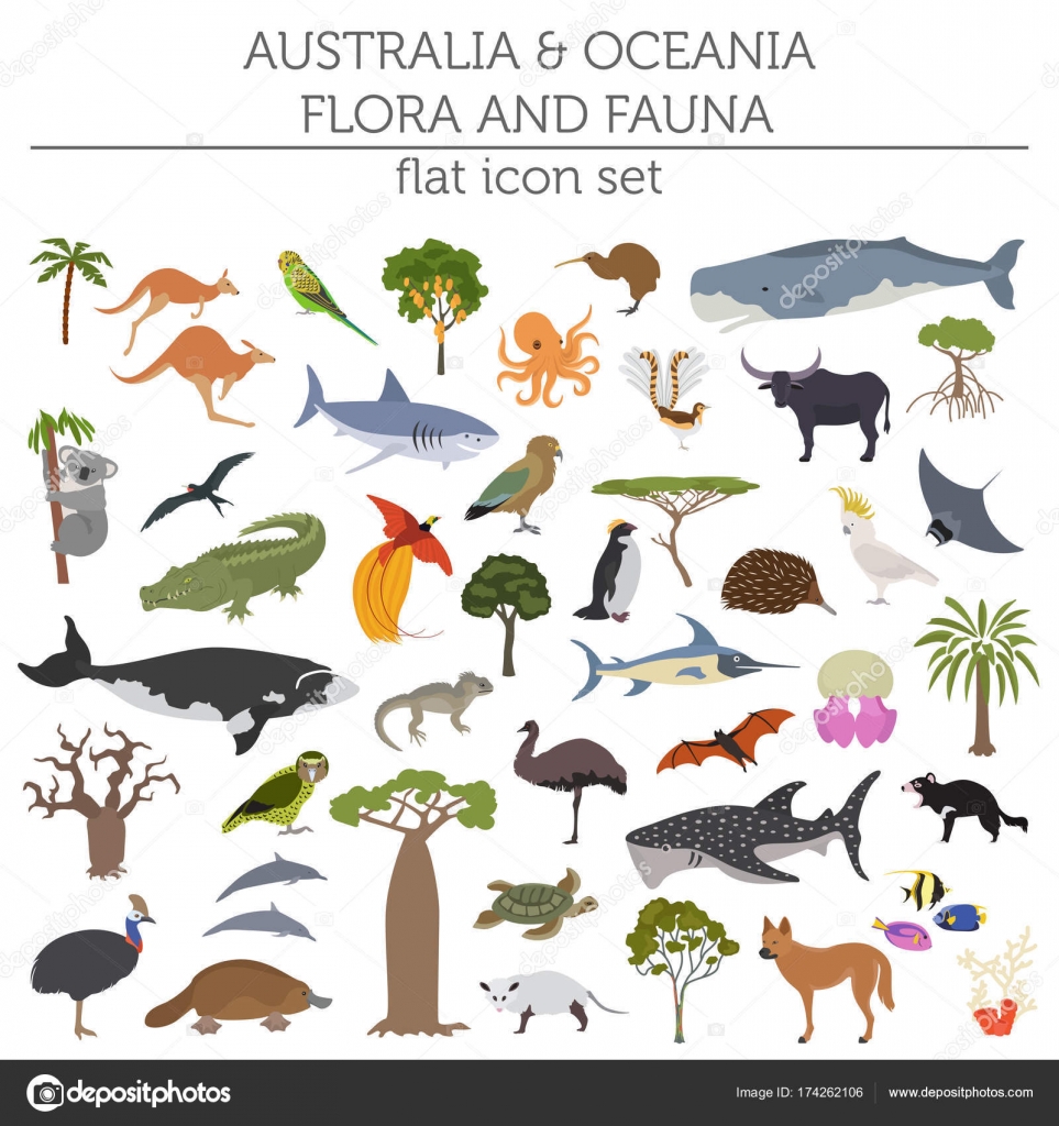 Australia Oceania fauna map, flat elements. Animal Stock Vector by ©A7880S #174262106
