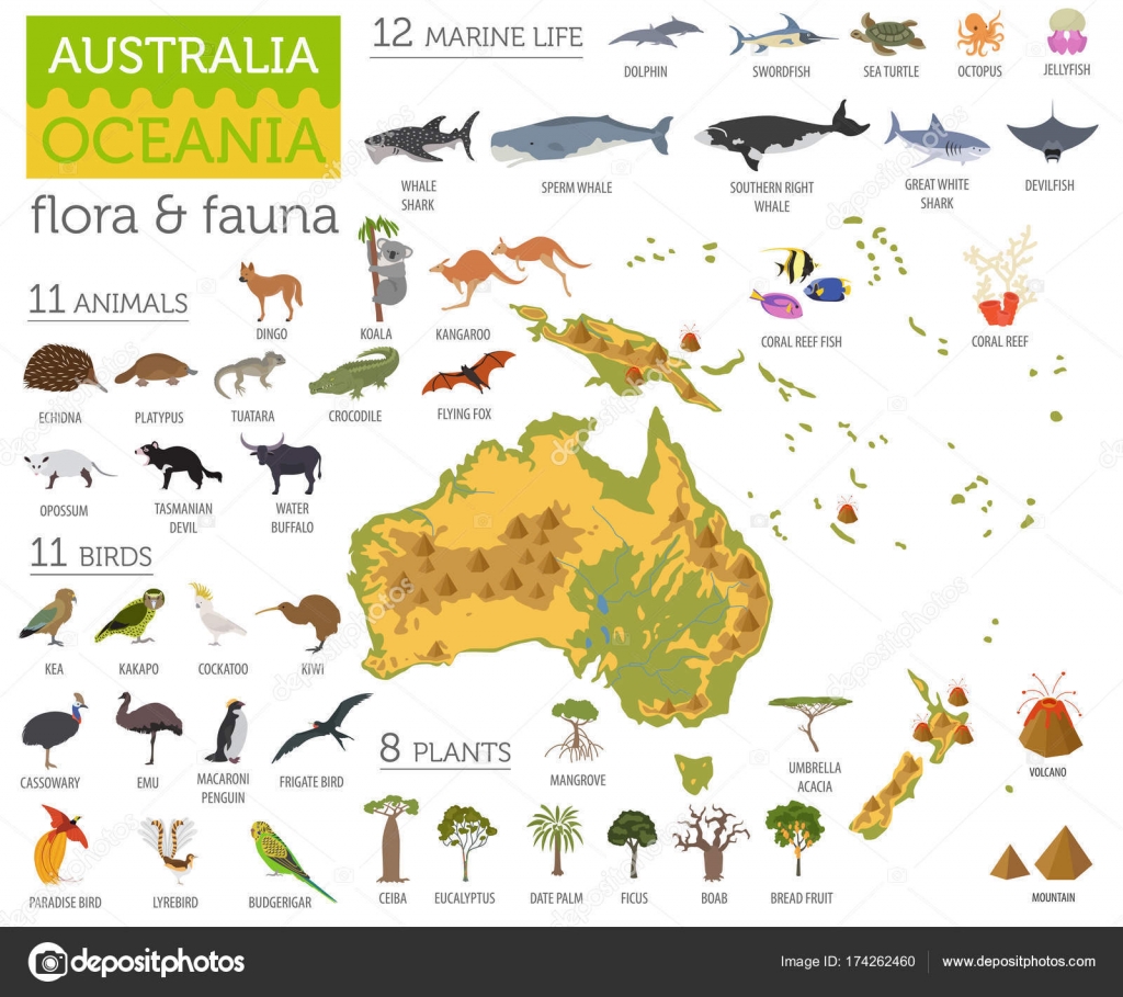 Unduh 50 Koleksi Gambar Flora Dan Fauna Di Australia Paling Bagus Gratis
