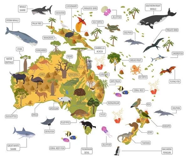 Ausztrália és Óceánia növény- és állatvilág térképe, lapos elemek. Állat — Stock Vector