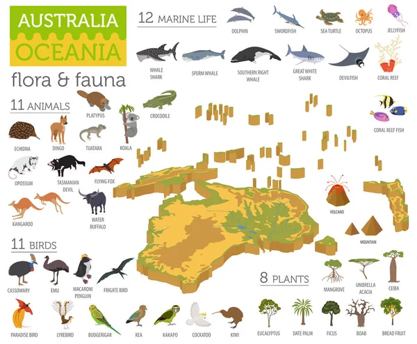 Isométrico 3d Australia y Oceanía flora y fauna mapa elementos . — Archivo Imágenes Vectoriales