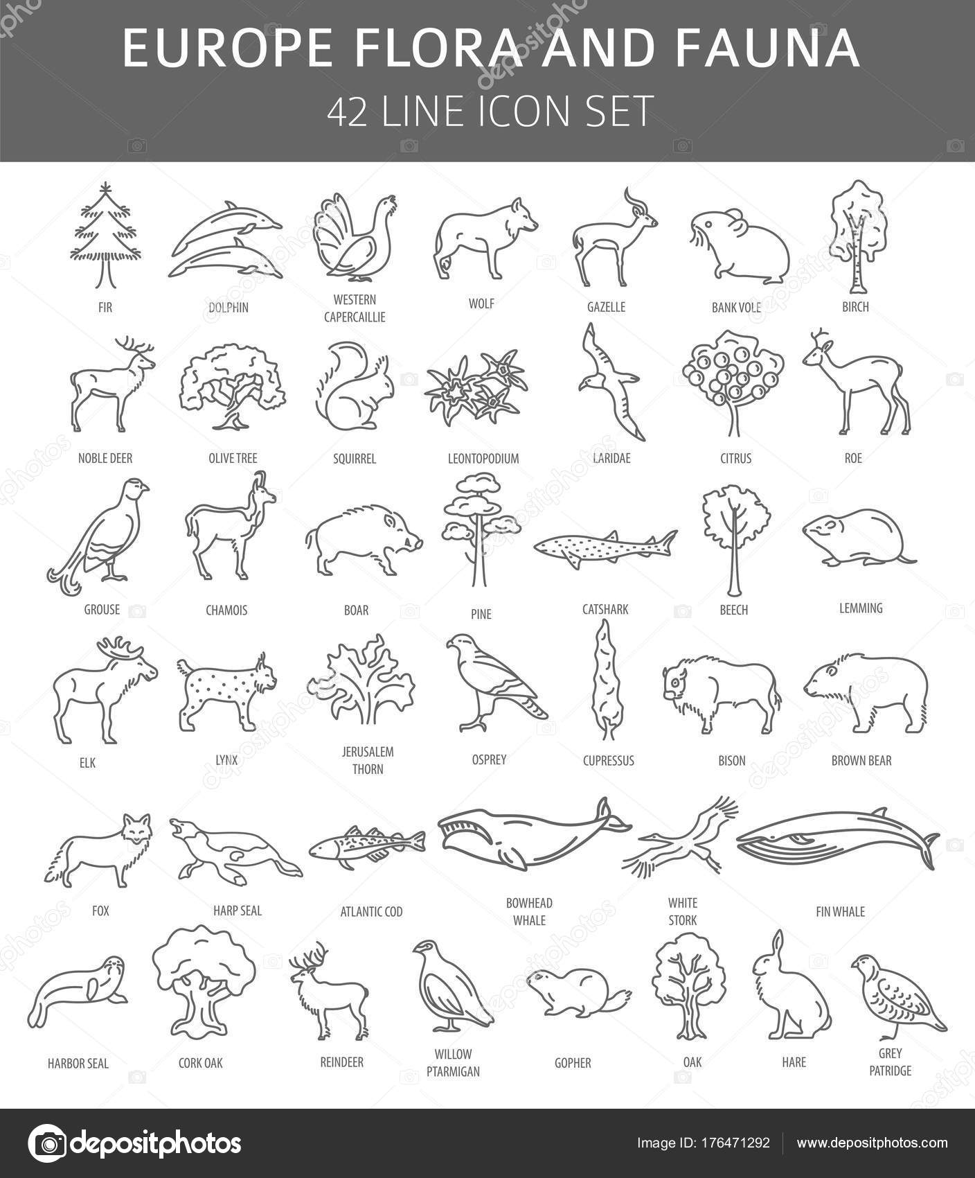 My Image 29