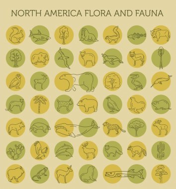 Flat North America flora and fauna  elements. Animals, birds and