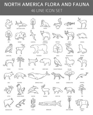 Kuzey Amerika flora ve fauna öğeleri düz. Hayvanlar, kuşlar ve