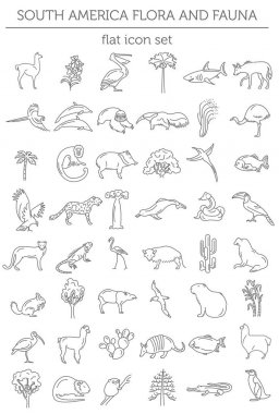 Flat South America flora and fauna  elements. Animals, birds and