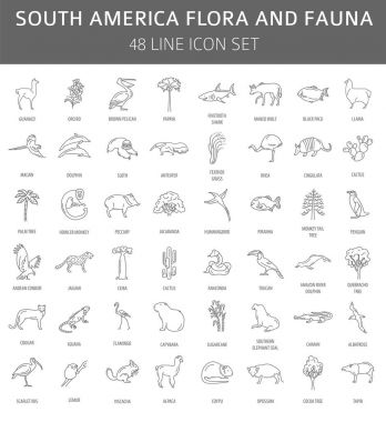 Güney Amerika flora ve fauna öğeleri düz. Hayvanlar, kuşlar ve