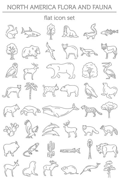 Плоские элементы флоры и фауны Северной Америки. Животные, птицы и
