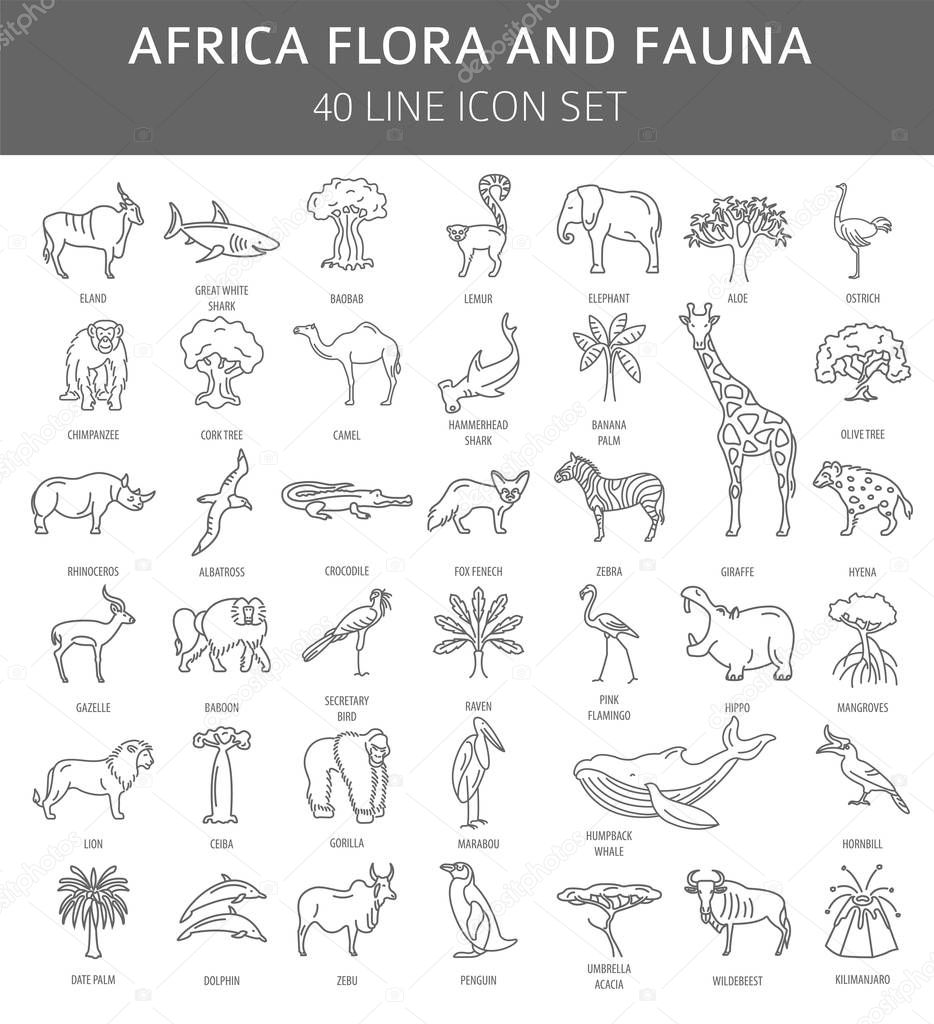 Flat African flora and fauna  elements. Animals, birds and sea l
