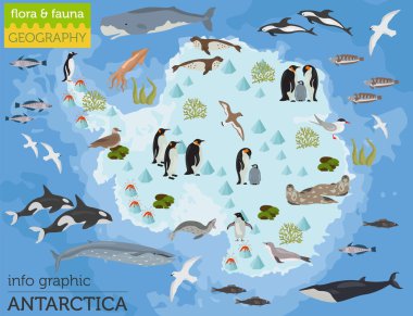 Antarktika, Antarktika, flora ve fauna harita, öğeleri düz. Anim