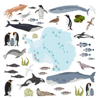 Antarctic, Antarctica,  flora and fauna map, flat elements. Anim clipart