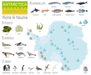 Antarktika, Antarktika, flora ve fauna harita, öğeleri düz. Anim