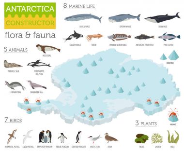 İzometrik 3d Antarktika flora ve fauna öğeleri eşleyin. Hayvanlar, b