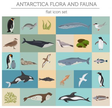 Antarctic, Antarctica,  flora and fauna map, flat elements. Anim